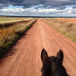 Meet your Posher, Lana